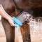 Aquapaw Aquapaw Grooming Brush For Horse AP.150 - alternate 5